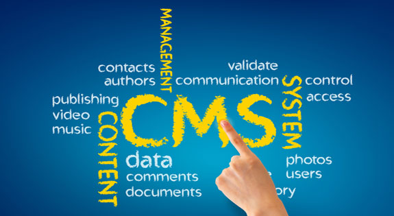 CMS bhubaneswar, cms website design in bhubaneswar, content management system odisha bhubaneswar